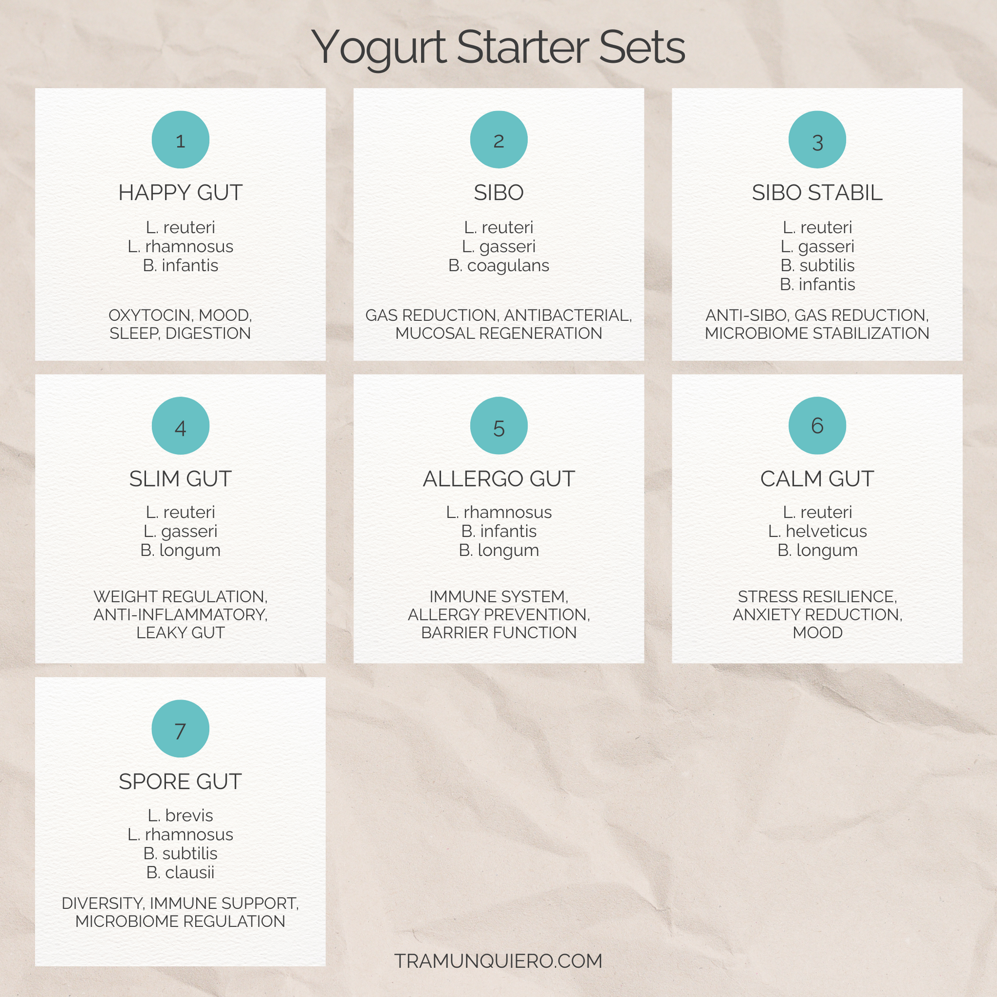 Starter-Set L. reuteri, L. gasseri, B. coagulans-Joghurt | SIBO-Joghurt